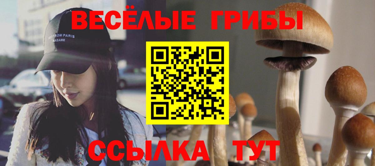Галлюциногенные грибы мухоморы Костомукша